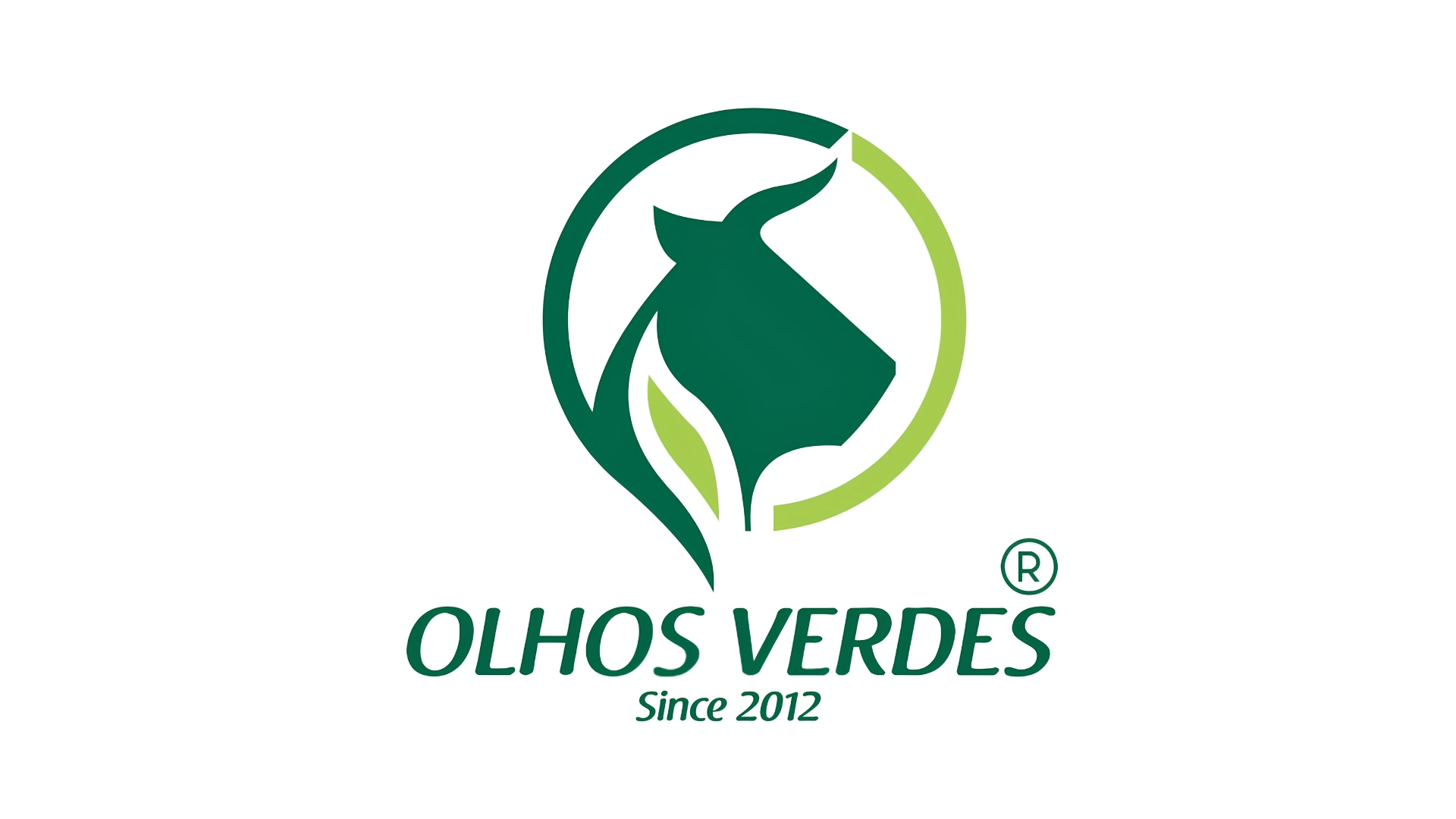 Agroindustrial Olhos Verdes Ltda